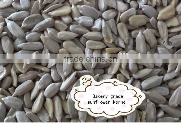 Yummy Sunflower Seeds- Organic Sunflower Kernels New Corp to Sale photo-4