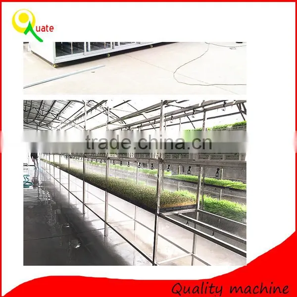 Vegetable Making Machine :Bud Seedling Machine