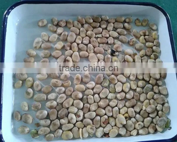 Color Sorting MachIne for Rice,Cereal,Plastic,Mine photo-4