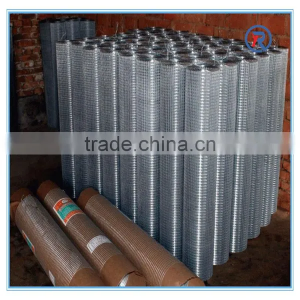 Hot Sale! Factory Supply Galvanized Welded Mesh photo-6