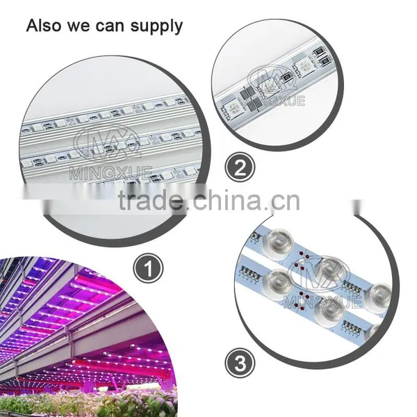 LED Strip Grow Light Indooruse photo-4