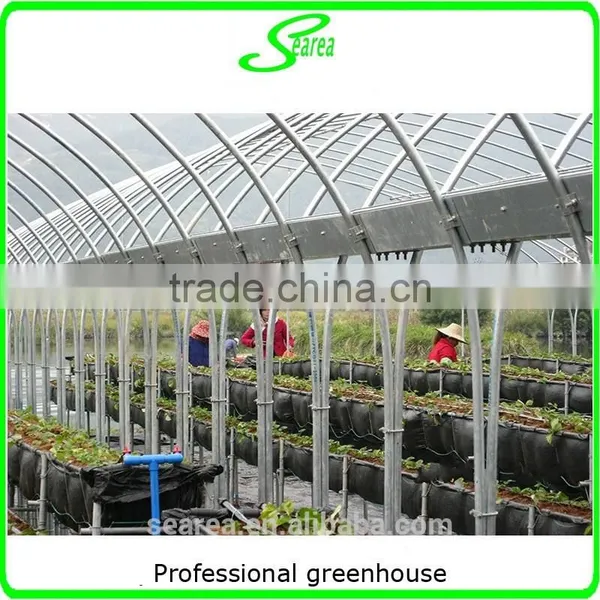 Easy Assembled Commercial Agricultural Tunnel Greenhouse photo-6