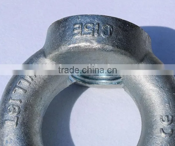Wells C15E Carbon Steel Forged Galvanized Din582 Anchor Bolt and Nut photo-3