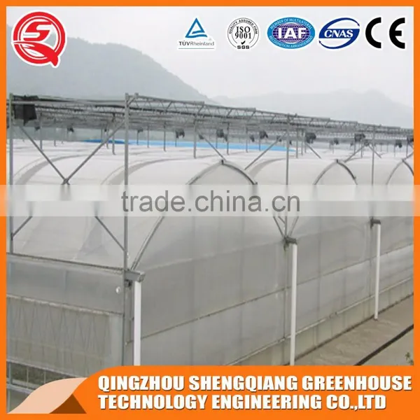 China Supplier Multi-span Plastic Film Agricultural Greenhouse for Sale photo-5