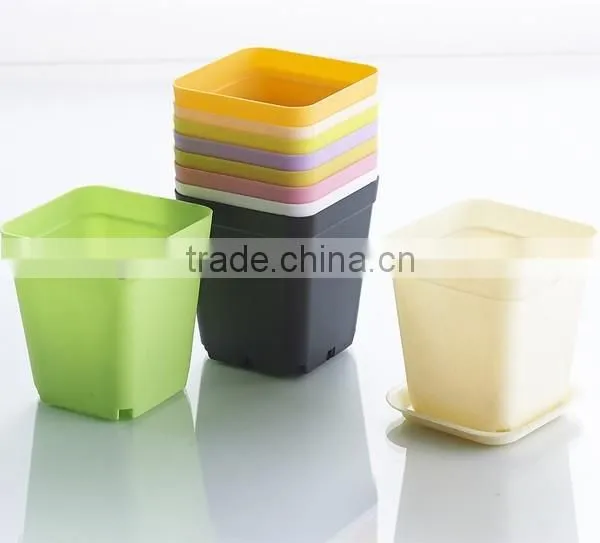 Plastic Colorful Small Square Flower Pots Without Pallet -3 Inch photo-3