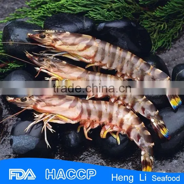 HL002 Best Quality Halal Shrimp Bouillon Cube