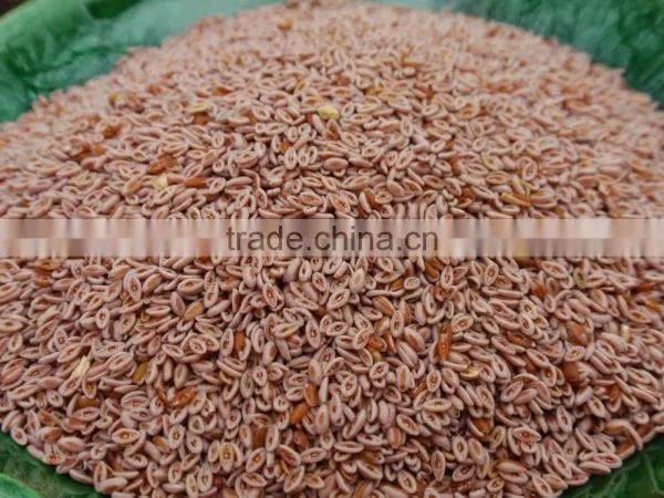 Psyllium Seed photo-2