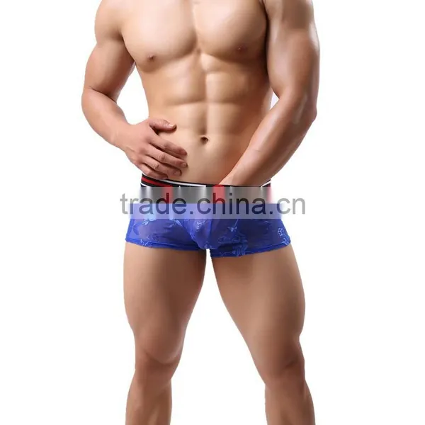 1 PCS Cool and Refreshing Underwear Men Sexy Male Boxers Gauze Sheer Lace Shorts Brand Mesh Penis Sheath See Through Men Boxer photo-5