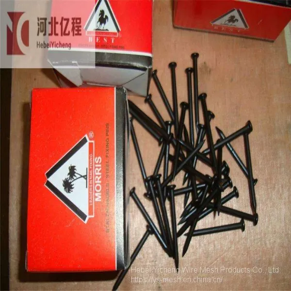 Manufacturer DIN 1152 Blank Compressed Metal Iron Common Concrete Wire Nails photo-2