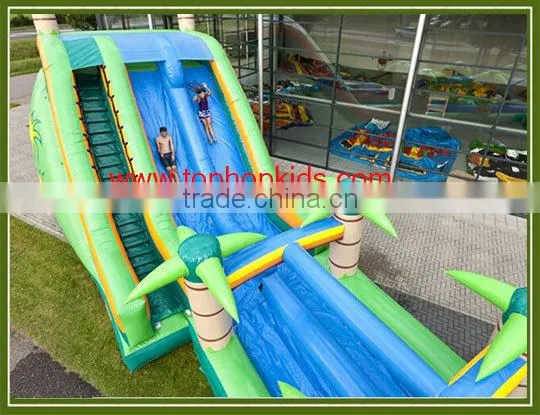 Factory Supply Giant Inflatable Water Slide With Pool photo-4