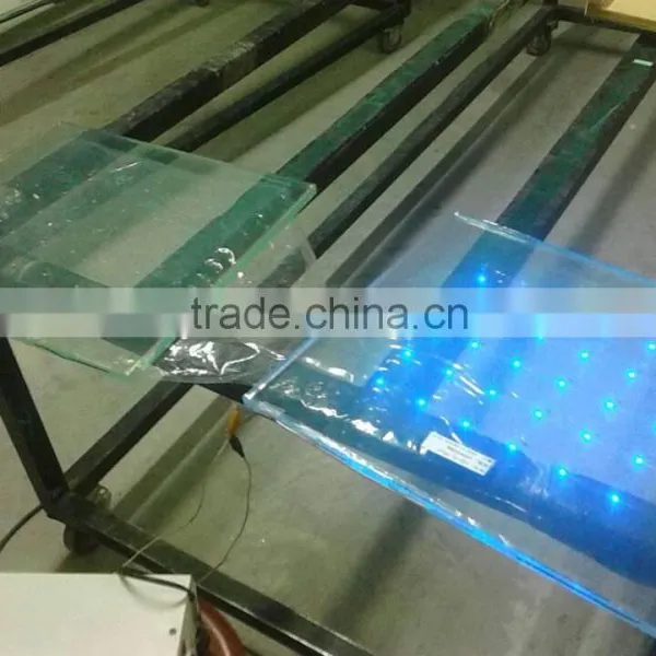 Led Cover Glass/Beautiful Silk Screen Panel Glass for LED photo-5
