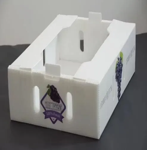 Polypropylene Storage Box