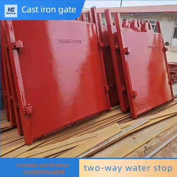 Reservoir Cast Iron Gate, Cast Iron Inlaid Copper Square and Round Gate, Flat Arched Cast Iron Gate photo-4
