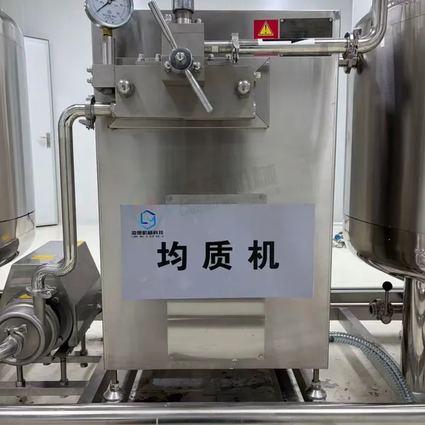 Small-scale Ice Cream Liquid Pre-processing Production Line Equipment for Forming and Processing Milk Popsicles photo-2