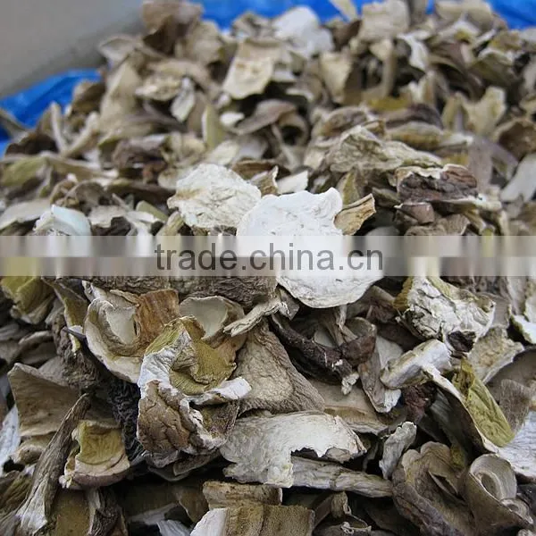 Dried Boletus/Porcini Edulis Mushroom Slices Grade AAA photo-3