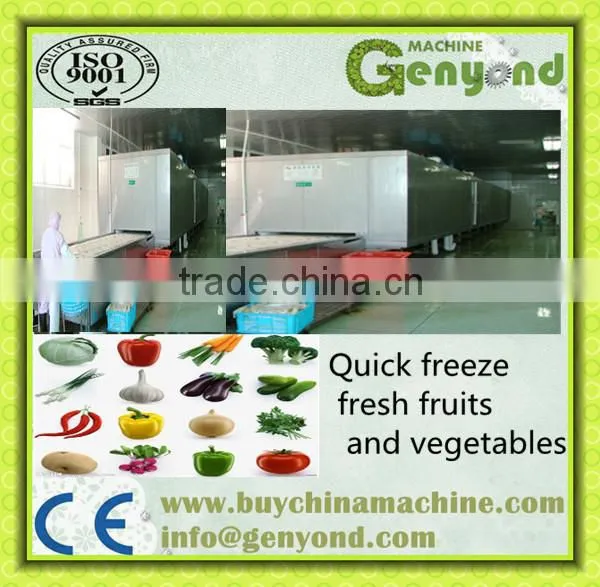 Stainless Steel Belt Tunnel Instant Quick Freezer (rapid Freezing) 5000kg per Hour