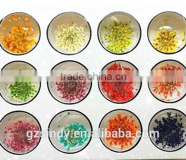 3D Nail Art Acrylic Flower Nail Decoration /nail Real Dried Flowers ZX:GH750 photo-4
