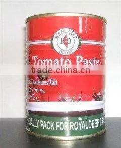 Good Quality Natural Fresh Canned Tomato Paste photo-4