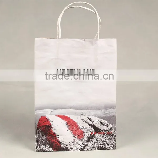 Custom Scarf Paper Packaging Bags With Twisted Rope Craft Paper Bag for Clothing Paper Bag for Gloves photo-2