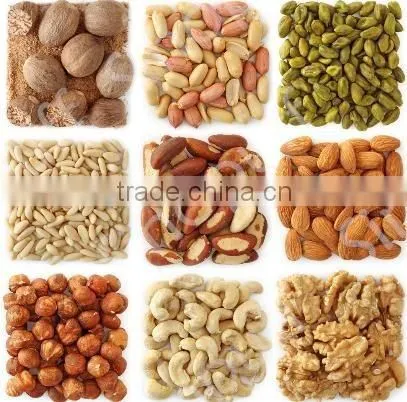Electrical Nut Roaster Peanut Roasting Machine For Peanut Processing Industry photo-3
