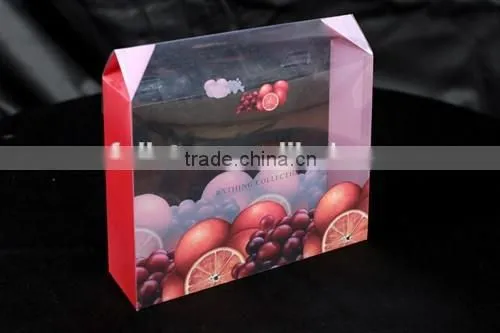 Clear Plastic Display Box With Printing and Insert Card photo-2