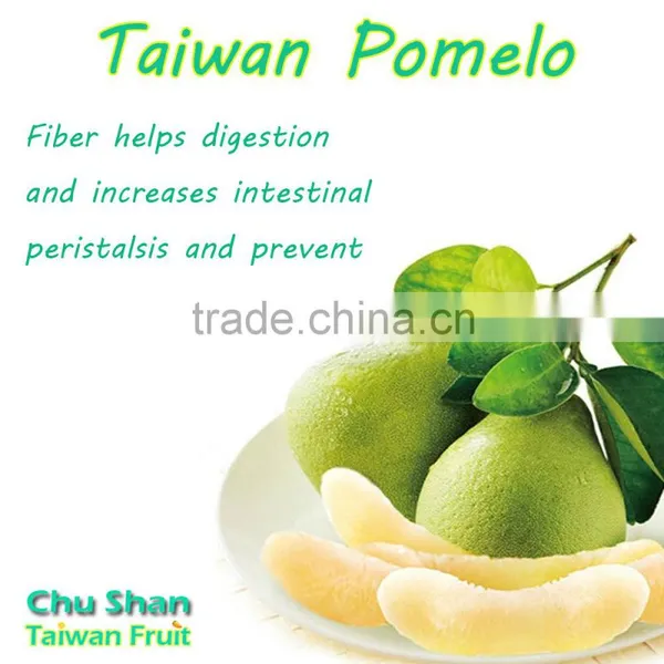 Taiwan Hot Sale Fresh Pomelo