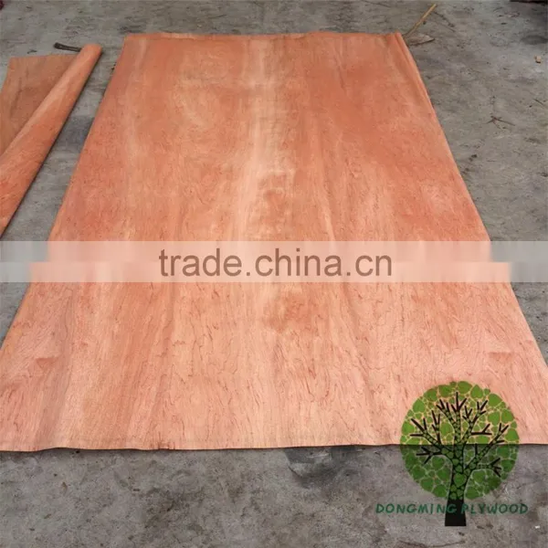 Antique Veneer Real Natural Wood Veneer Bintangor Wood Veneer photo-6