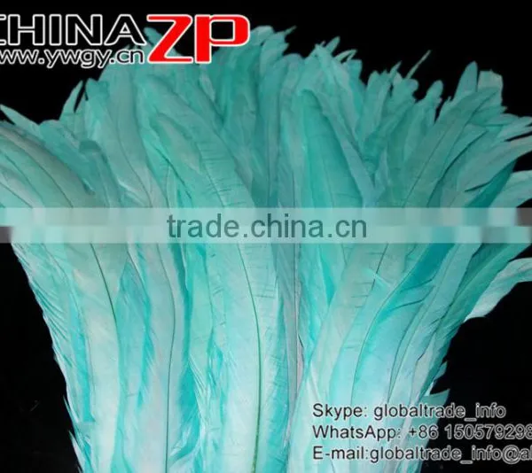NO.1 Supplier CHINAZP Bulk Sale Selected Prime Quality Colored Light Lake Blue Fully Dyed Rooster Chicken Feathers photo-3