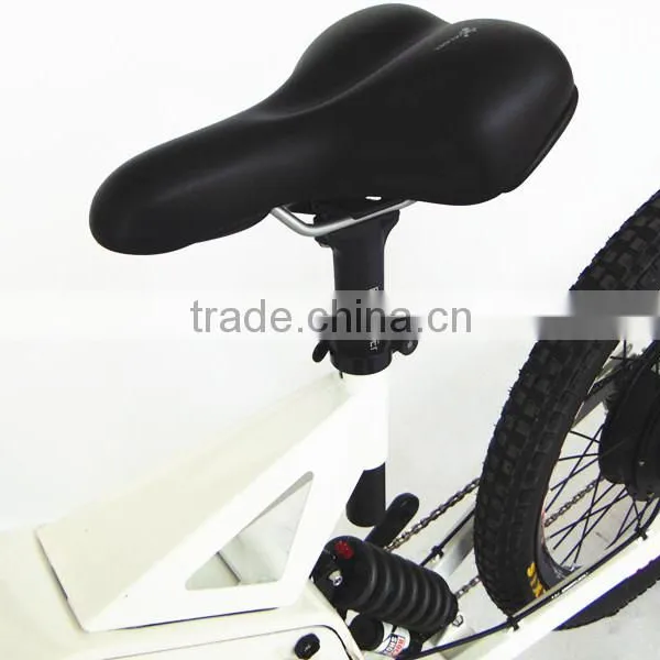 Pedals Assisted Electric Bike Strong Carbon Frame Mountain Bike 3000w photo-3