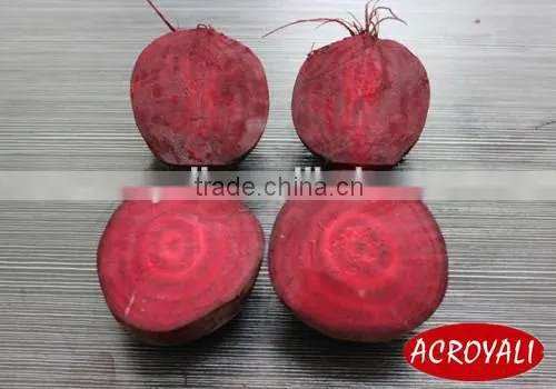 Canned Baby Beetroot Whole/Canned Food/Canned Vegetables photo-2