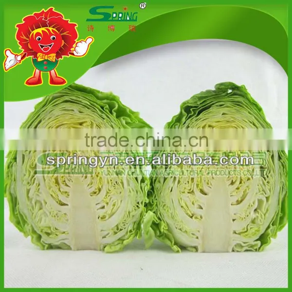 Green Cabbage for Sale/fresh Cabbage Grade A photo-3