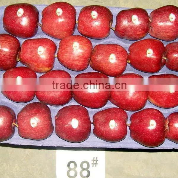 Red Huaniu Apple (delicious Apple ) photo-4