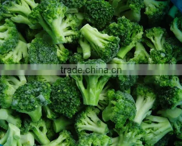 Frozen Broccoli With Best Price, Frozen Vegetable photo-4