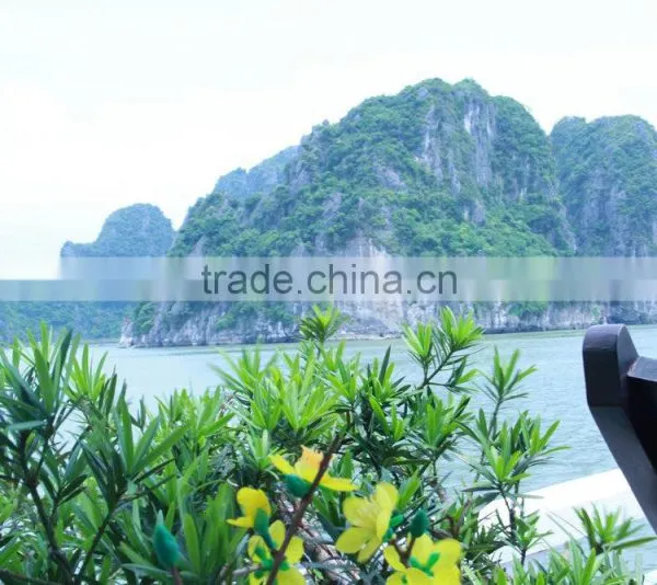 Ha Long Bay 2D1N on Boat photo-5