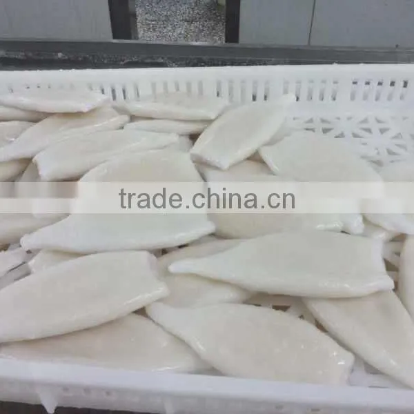 2016 Best Quality New Arrival Squid Tubes for Sale photo-2