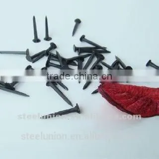FINE BLUE SHOE TACK NAILS /THREE STAR SHOE TACK NAIL photo-5