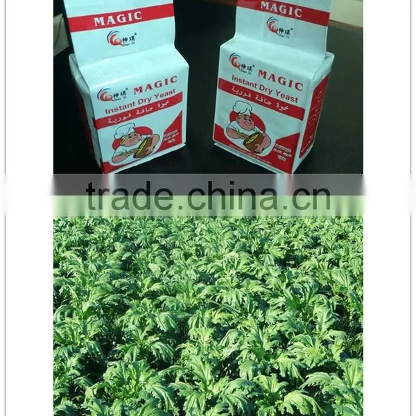 100g Instant Dry Yeast photo-4