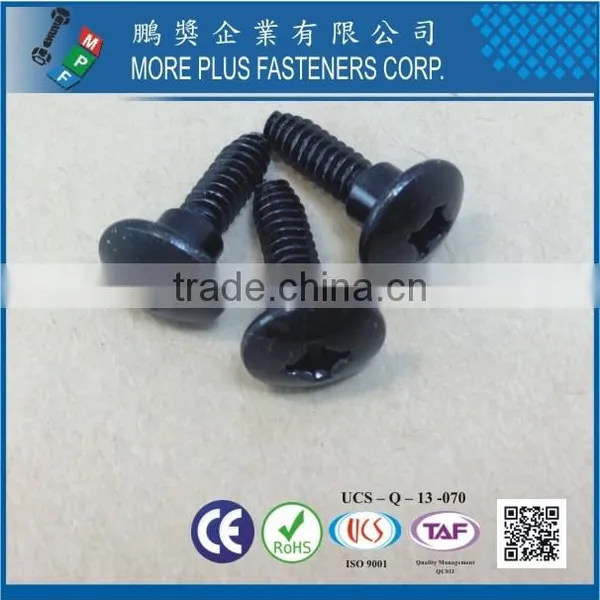 Made in Taiwan Zinc Black CR6+ Trilobuar Thread Without Bumper Square Phil Combo Carbon Steel C1022 Screws photo-2