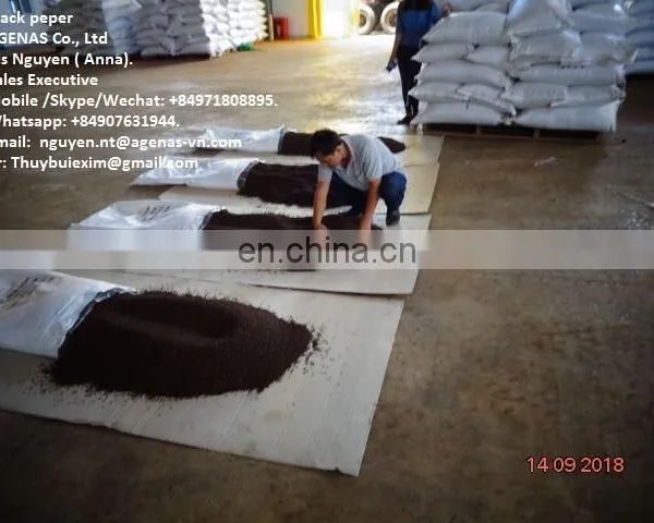 Low Price / Supplier Pepper Black High Quality Vietnam Black Pepper. photo-3