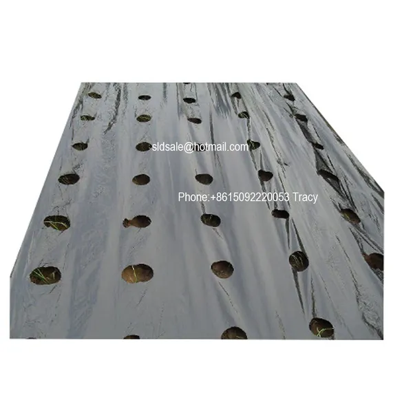 Mulch Film Hole Punching Machine photo-5