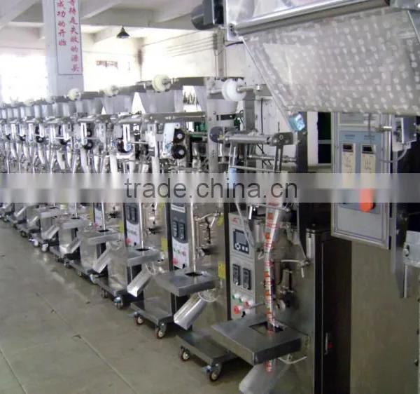 Powder Packaging Machine Power Packing Machine photo-4