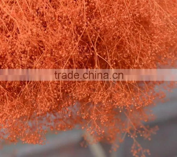2016 Cheap Artificia Natural Dry Flower photo-3