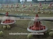 Poultry House Poultry Feeders and Drinkers photo-2