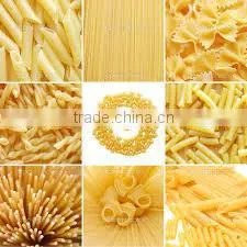 Pasta Line Machines photo-6