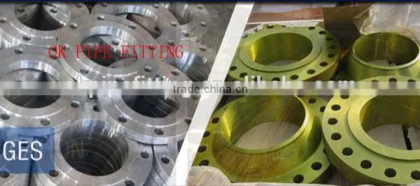Alloy Steel Blind, SORF, WNRF, Flanges SA 182 F22 photo-3