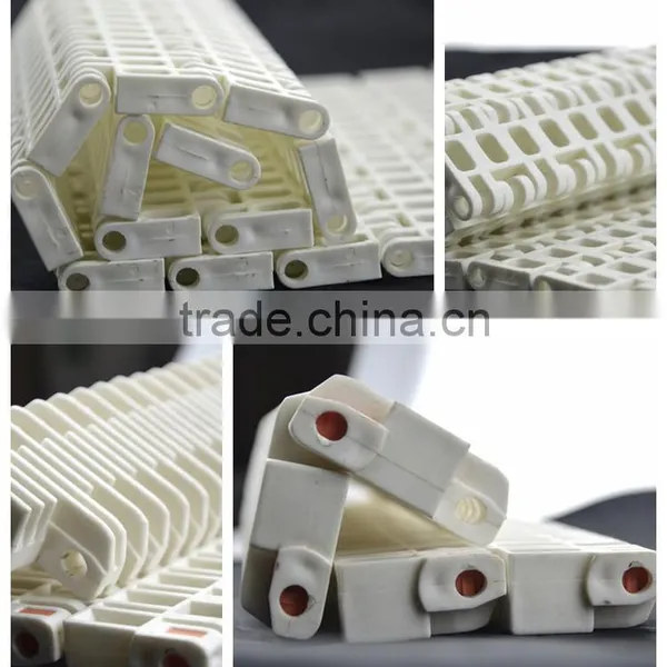 Vera ISO Manufacturer Plastic Modular Conveyor Belt photo-3