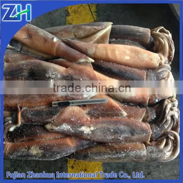 Underwater Squid Light Squid Roller Illex Squid