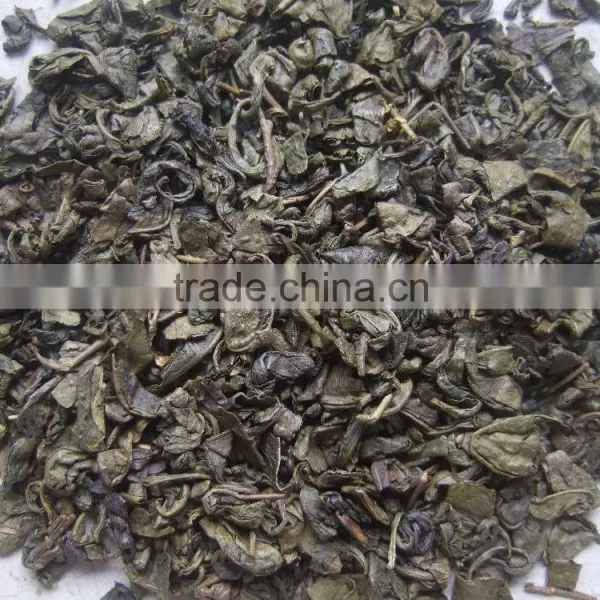 Export Tea From Professional Factory in China Gunpowder Green Tea 9175 photo-3