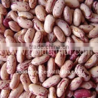 Kidney Beans