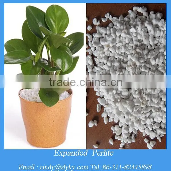 Horticultural And Agriculture Perlite Supplier photo-4